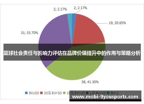 篮球社会责任与影响力评估在品牌价值提升中的作用与策略分析