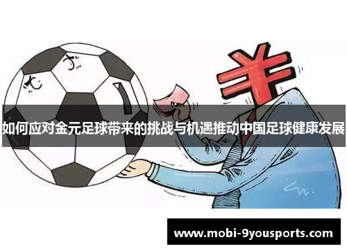 如何应对金元足球带来的挑战与机遇推动中国足球健康发展