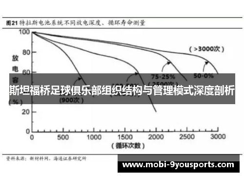 斯坦福桥足球俱乐部组织结构与管理模式深度剖析